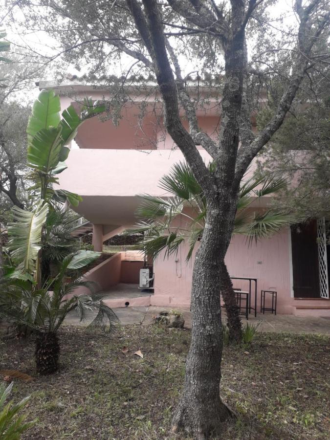 B&B Nuraghes Olbia Exterior foto