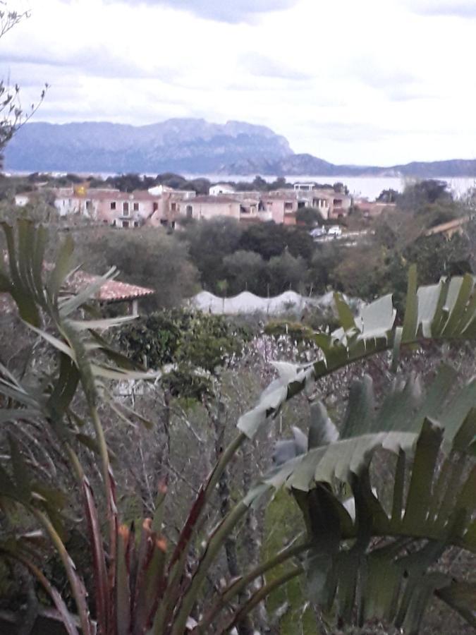 B&B Nuraghes Olbia Exterior foto